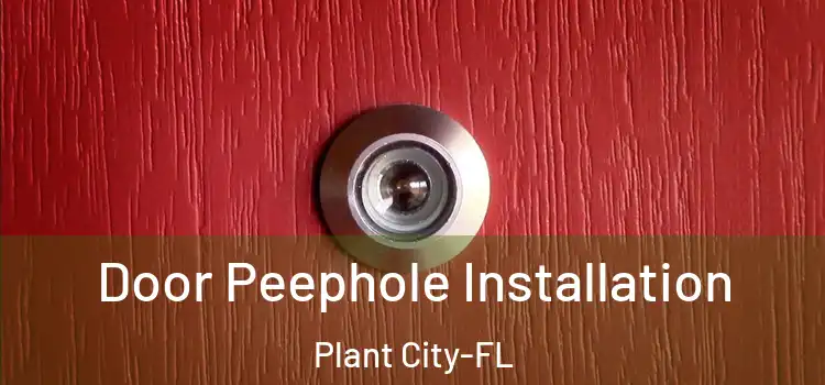 Door Peephole Installation Plant City-FL