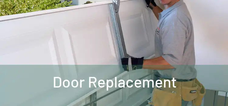  Door Replacement 