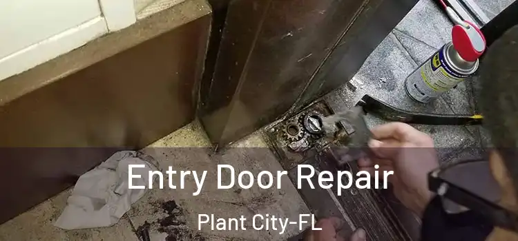 Entry Door Repair Plant City-FL