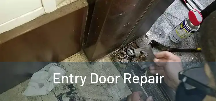 Entry Door Repair