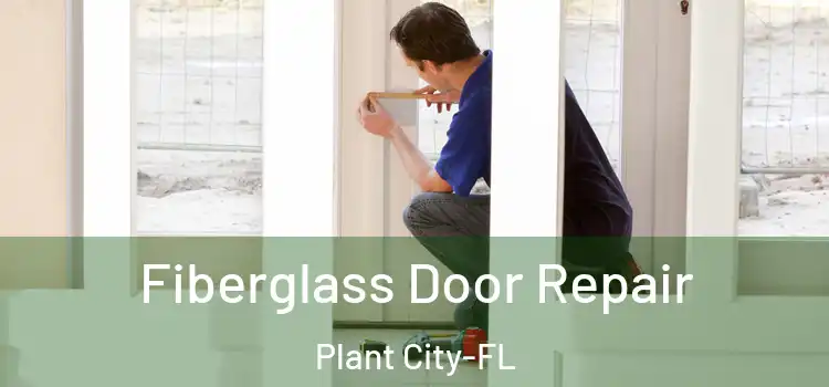 Fiberglass Door Repair Plant City-FL