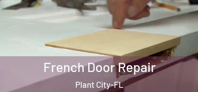 French Door Repair Plant City-FL