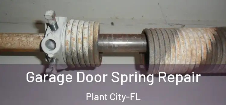 Garage Door Spring Repair Plant City-FL