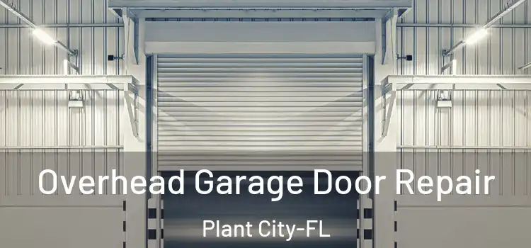 Overhead Garage Door Repair Plant City-FL